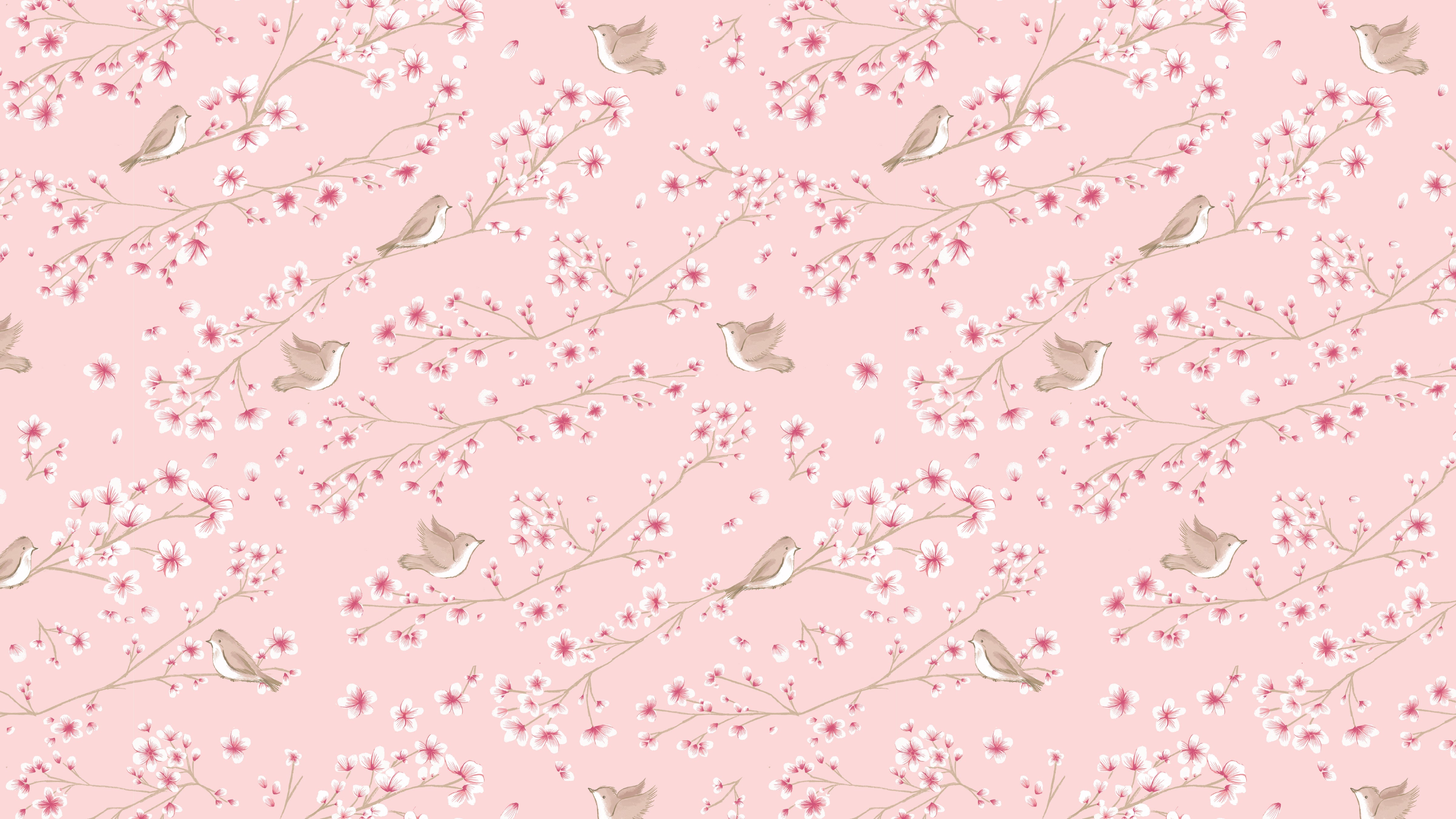 Cherry Blossoms