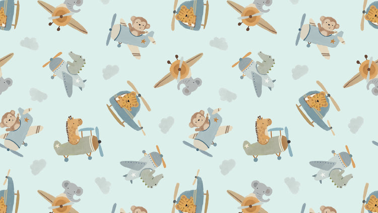 Airplanes